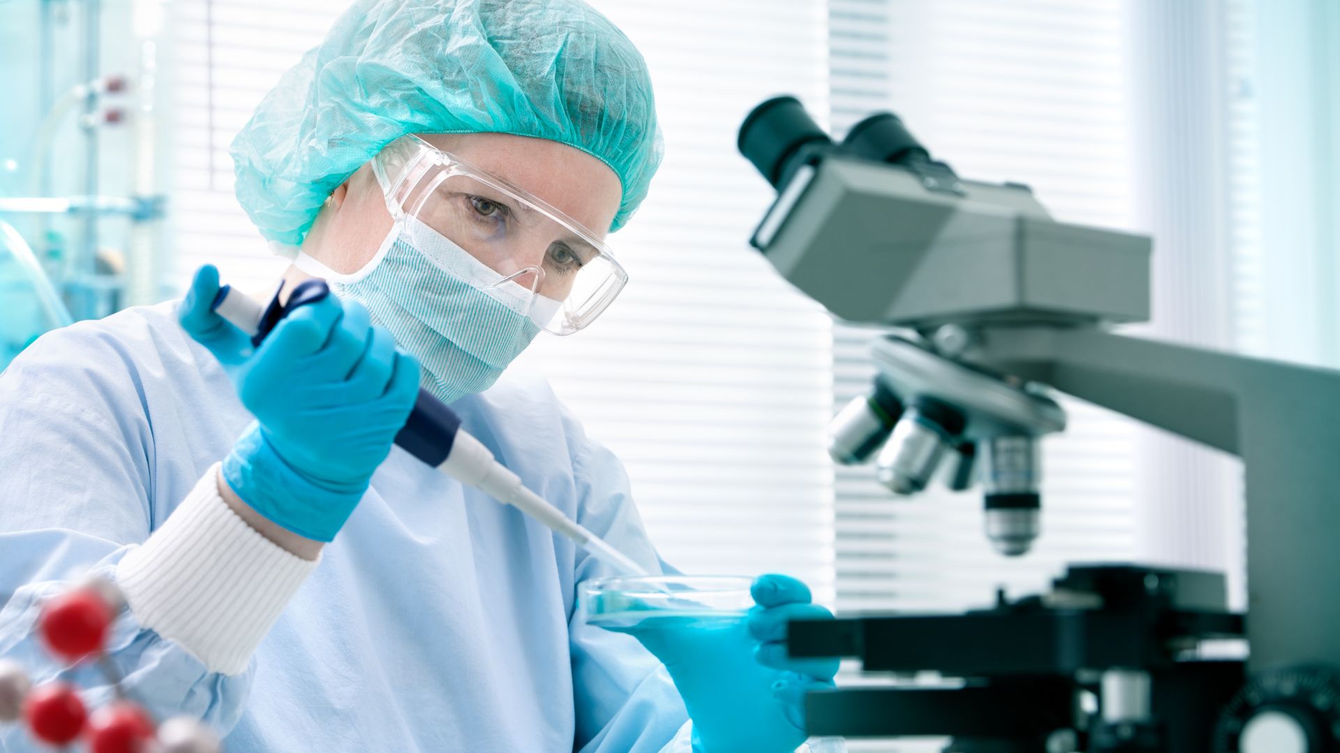 What Are Stem Cells and Why Are They Important for Recovery