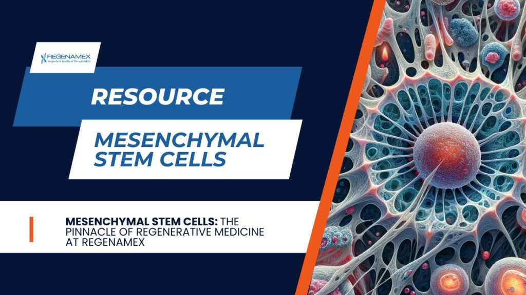 Mesenchymal Stem Cell