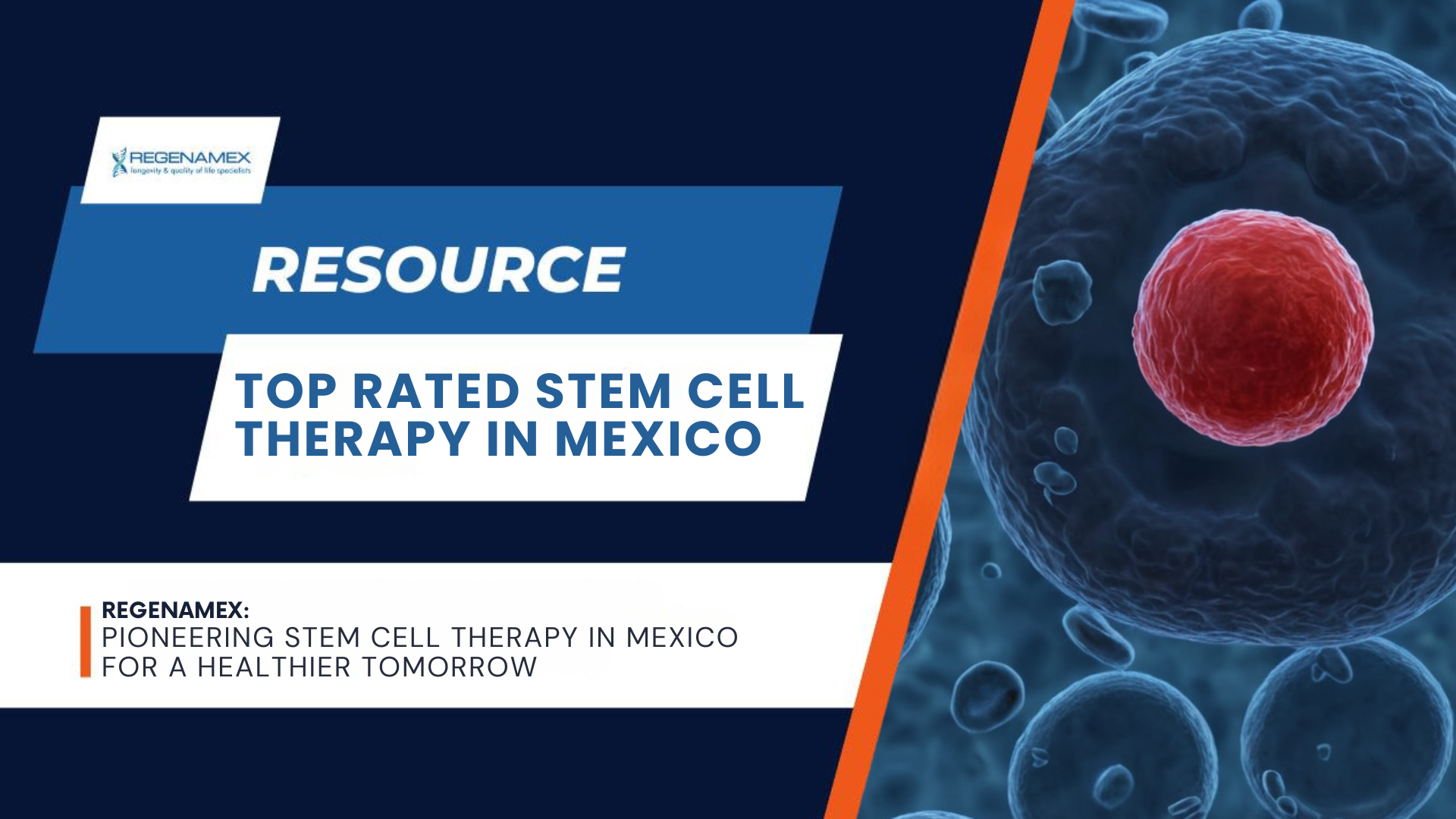 Top rated stem cell