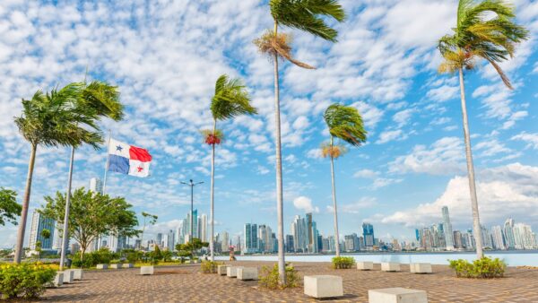 Where Did Joe Rogan Go for Stem Cells? Exploring His Journey and the ...