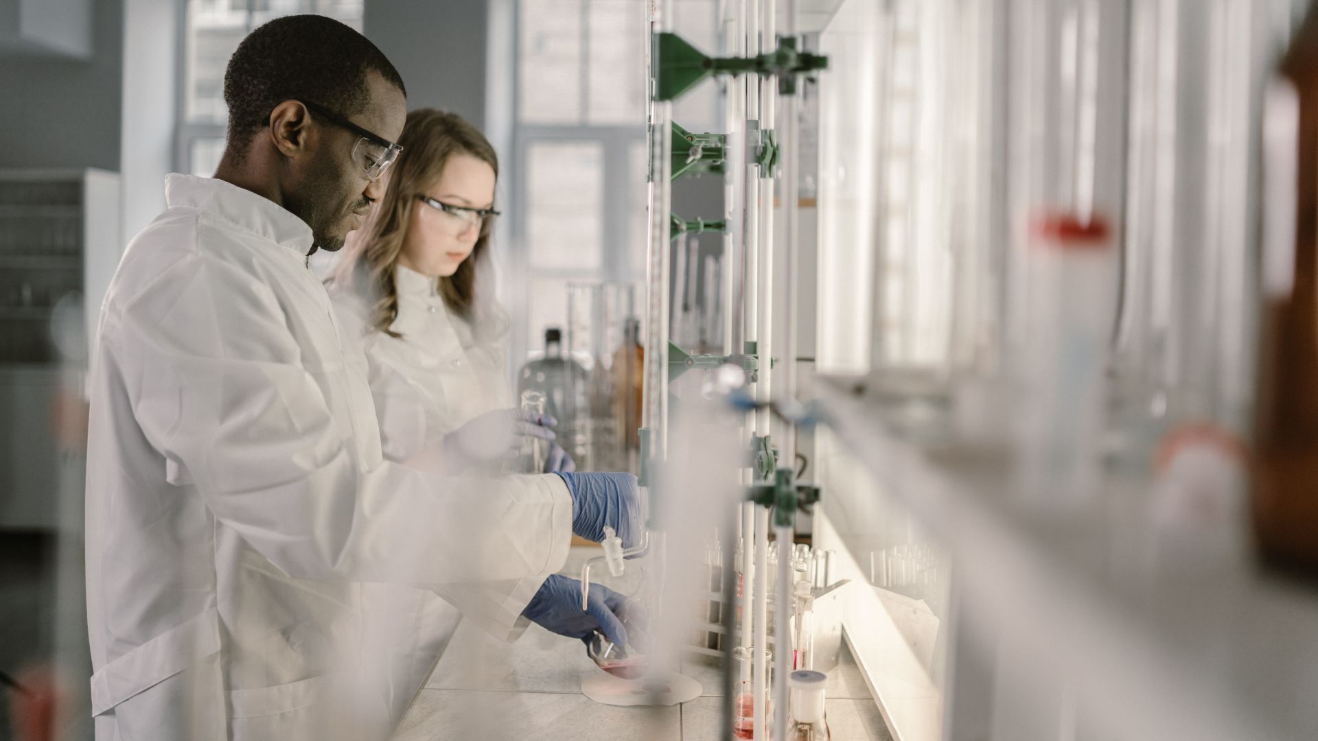 Stem Cells and the Future of Anti-Aging Medicine