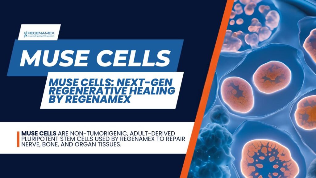 muse-cells-regenerative-healing-regenamex