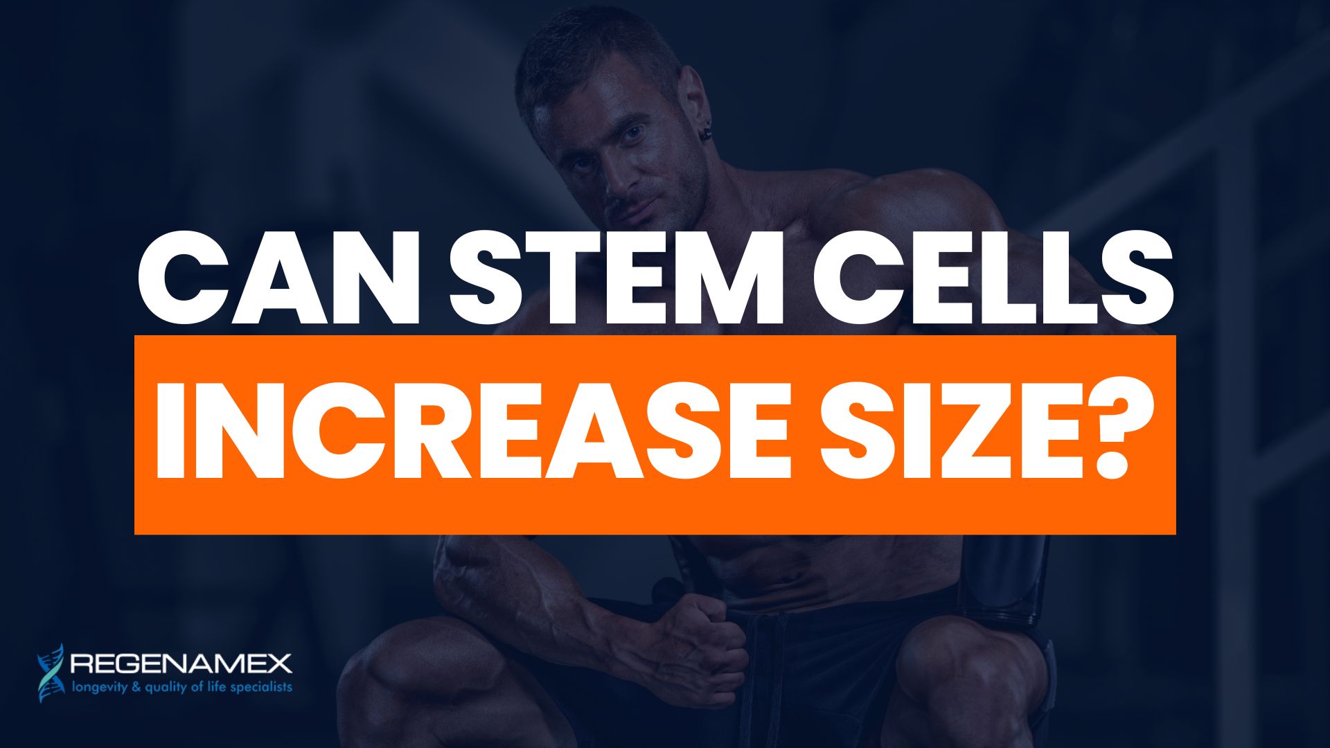 Can Stem Cells Increase Size