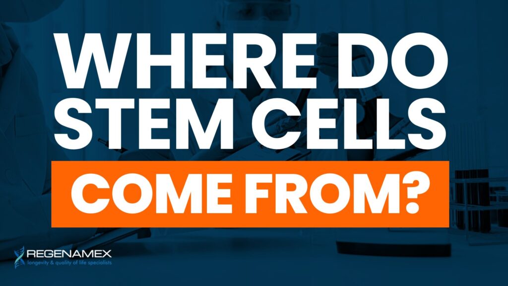 Where Do Stem Cells Come From Exploring Nature’s Most Powerful Healing Cells