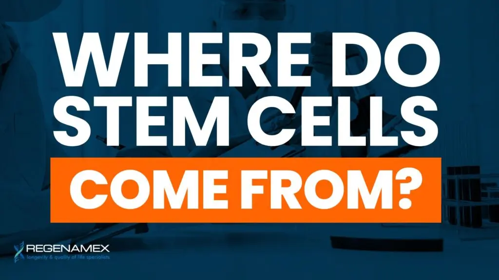 Where Do Stem Cells Come From Exploring Nature’s Most Powerful Healing Cells
