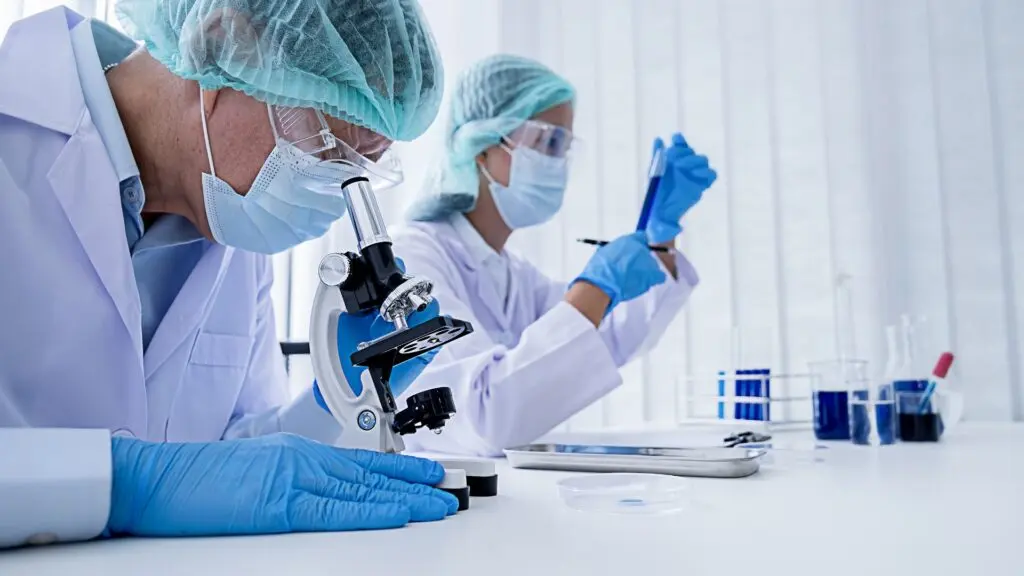 Why Mesenchymal Stem Cells from Wharton’s Jelly