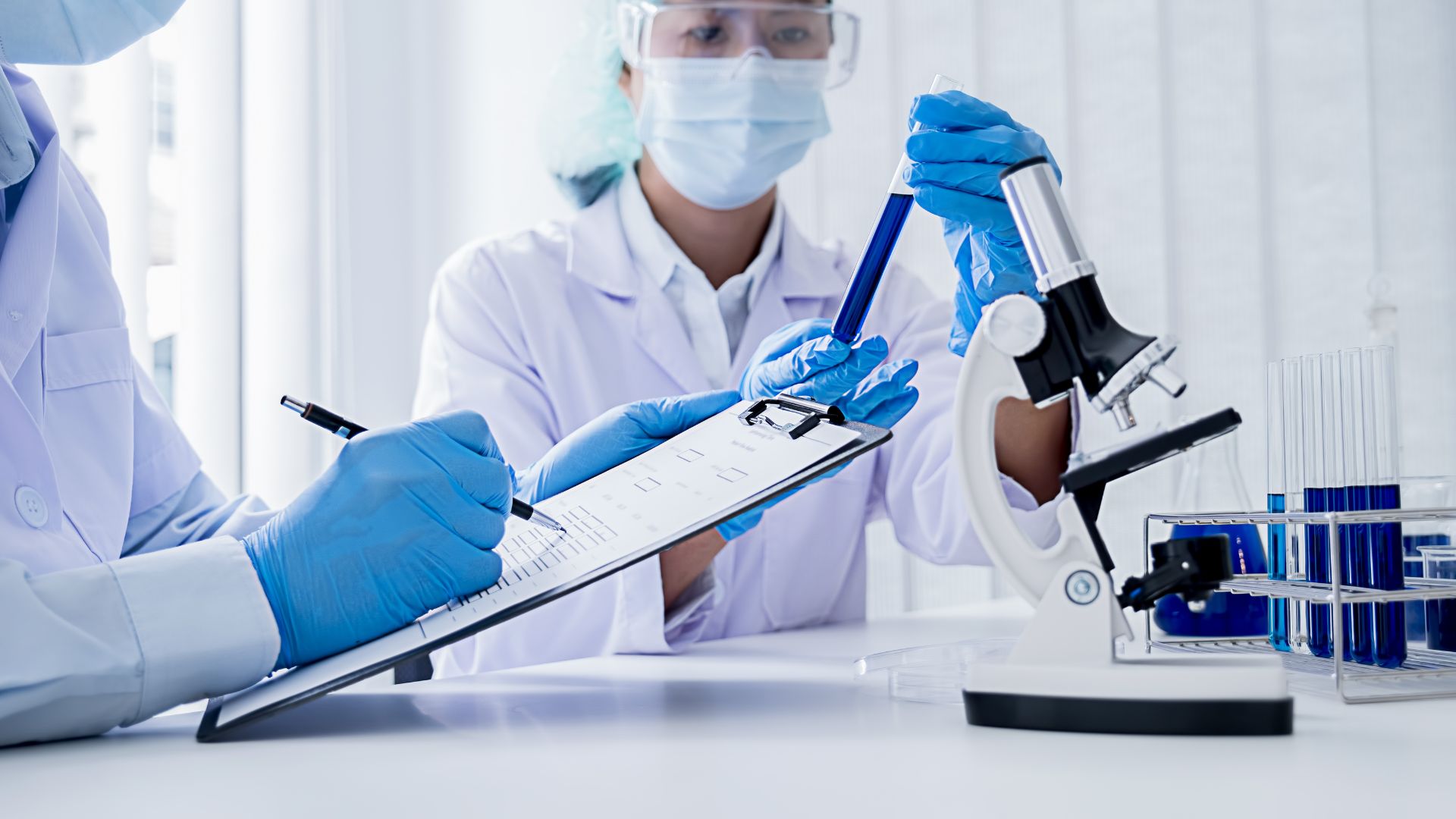 Why Mesenchymal Stem Cells from Wharton’s Jelly