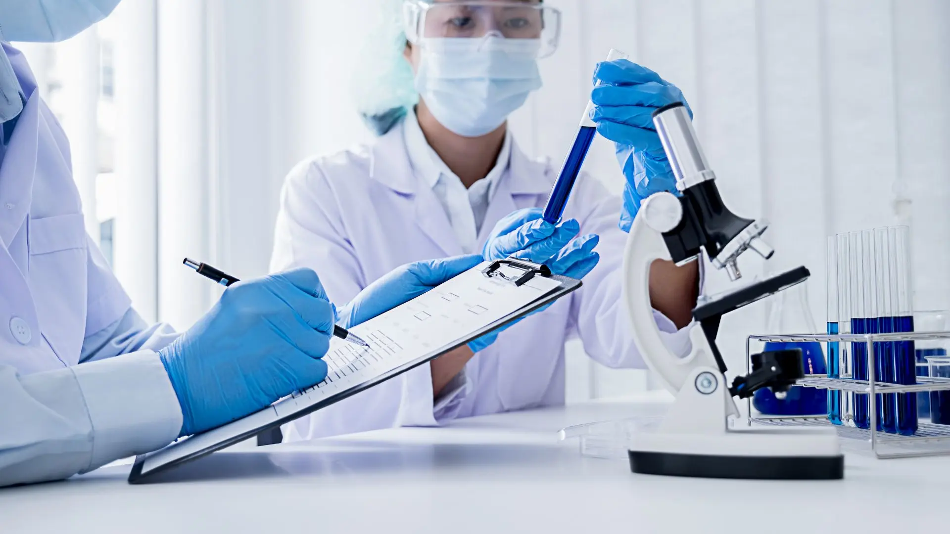 Why Mesenchymal Stem Cells from Wharton’s Jelly