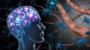 Stem cell therapy