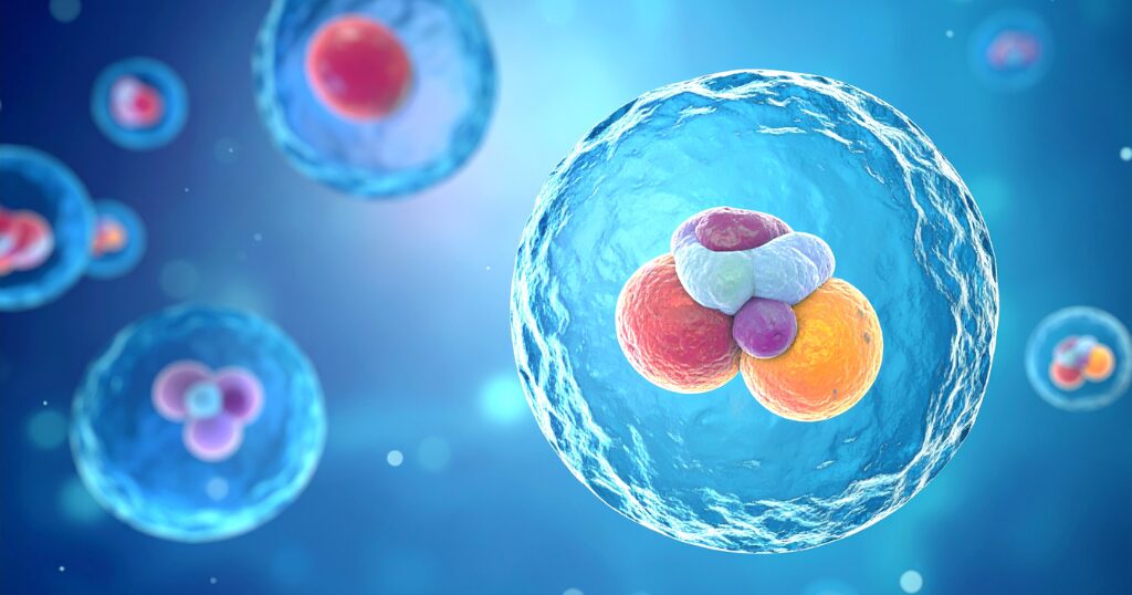 stem cell therapy