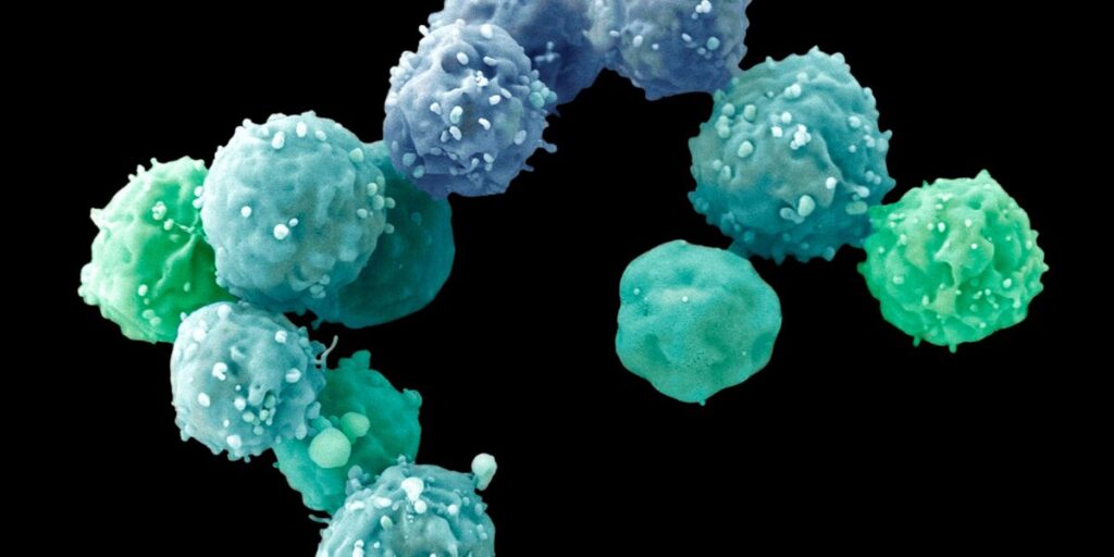 , stem cell treatment in Tijuana Mexico