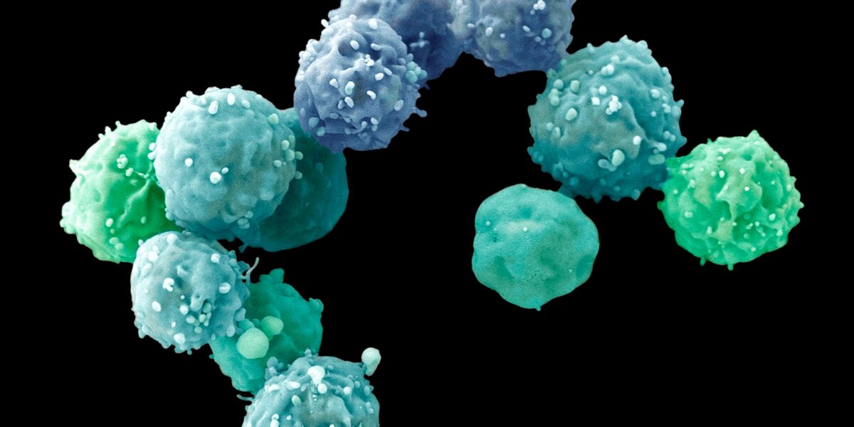 , stem cell treatment in Tijuana Mexico