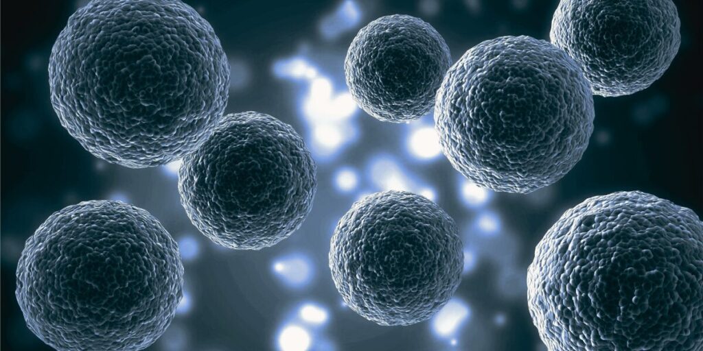 Stem Cell Therapy in Mexico