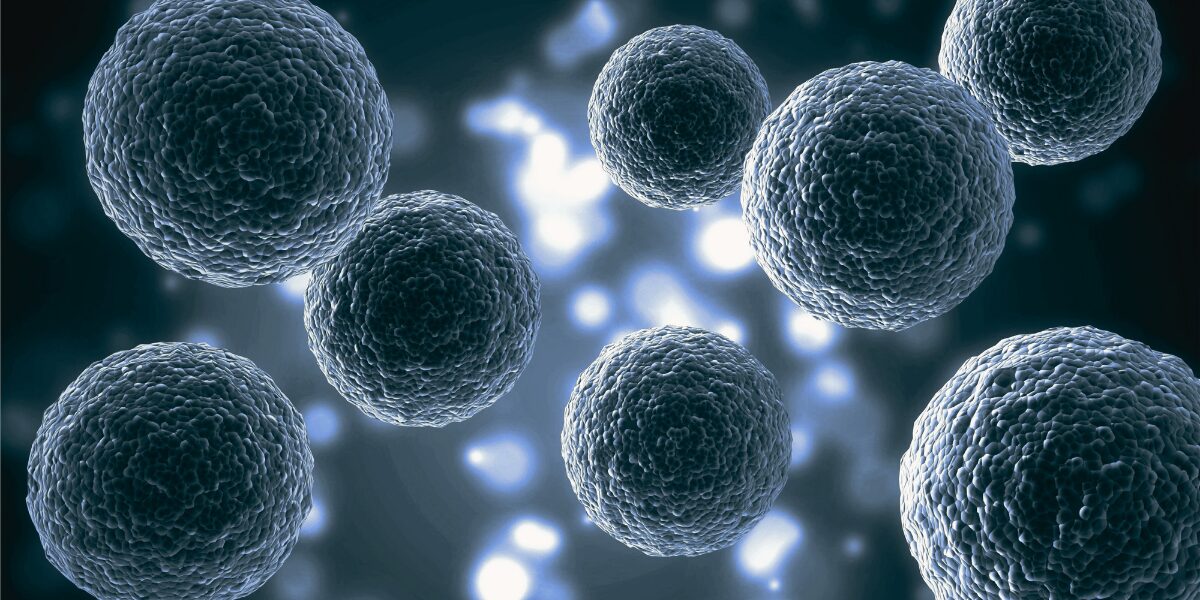 Stem Cell Therapy in Mexico