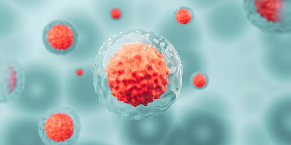 stem cell therapy Puerto Vallart