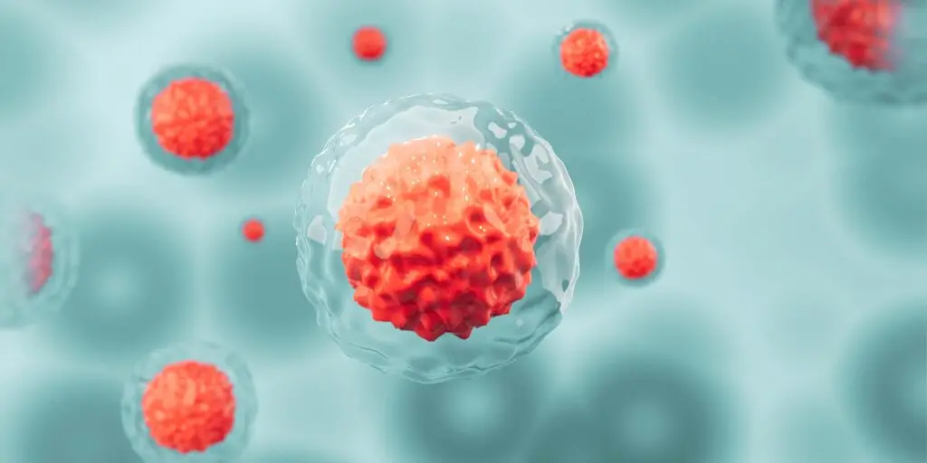 stem cell therapy Puerto Vallart stem cell therapy Puerto Vallart