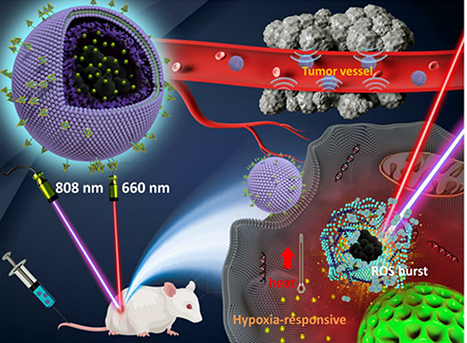 Header of the peer reviewed study published in Aging and Disease journal, 2021