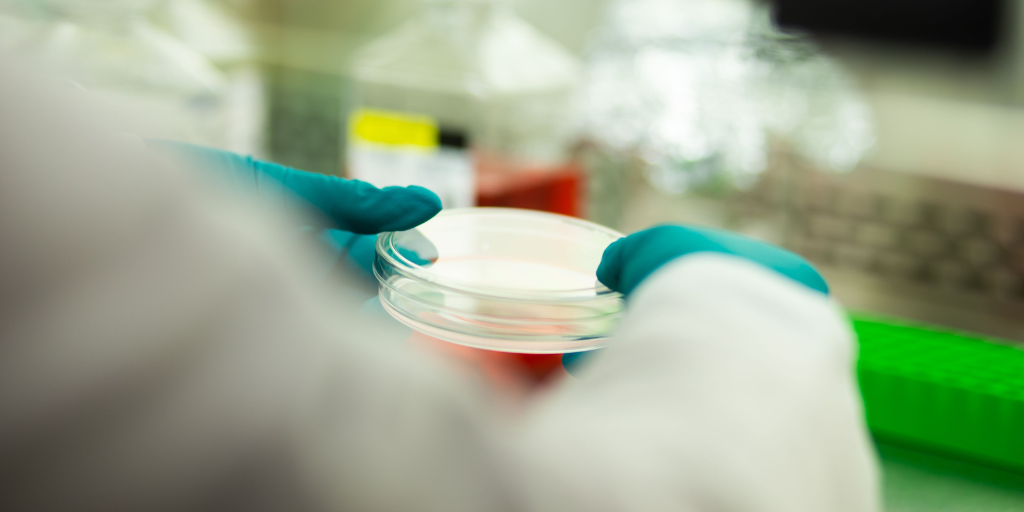 Tijuana stem cell clinic cost Tijuana stem cell clinic cost